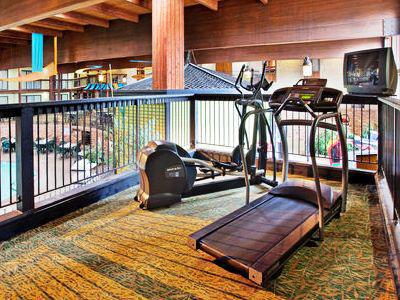 Hotel At Six Flags Saint Louis By Ihg 3*
